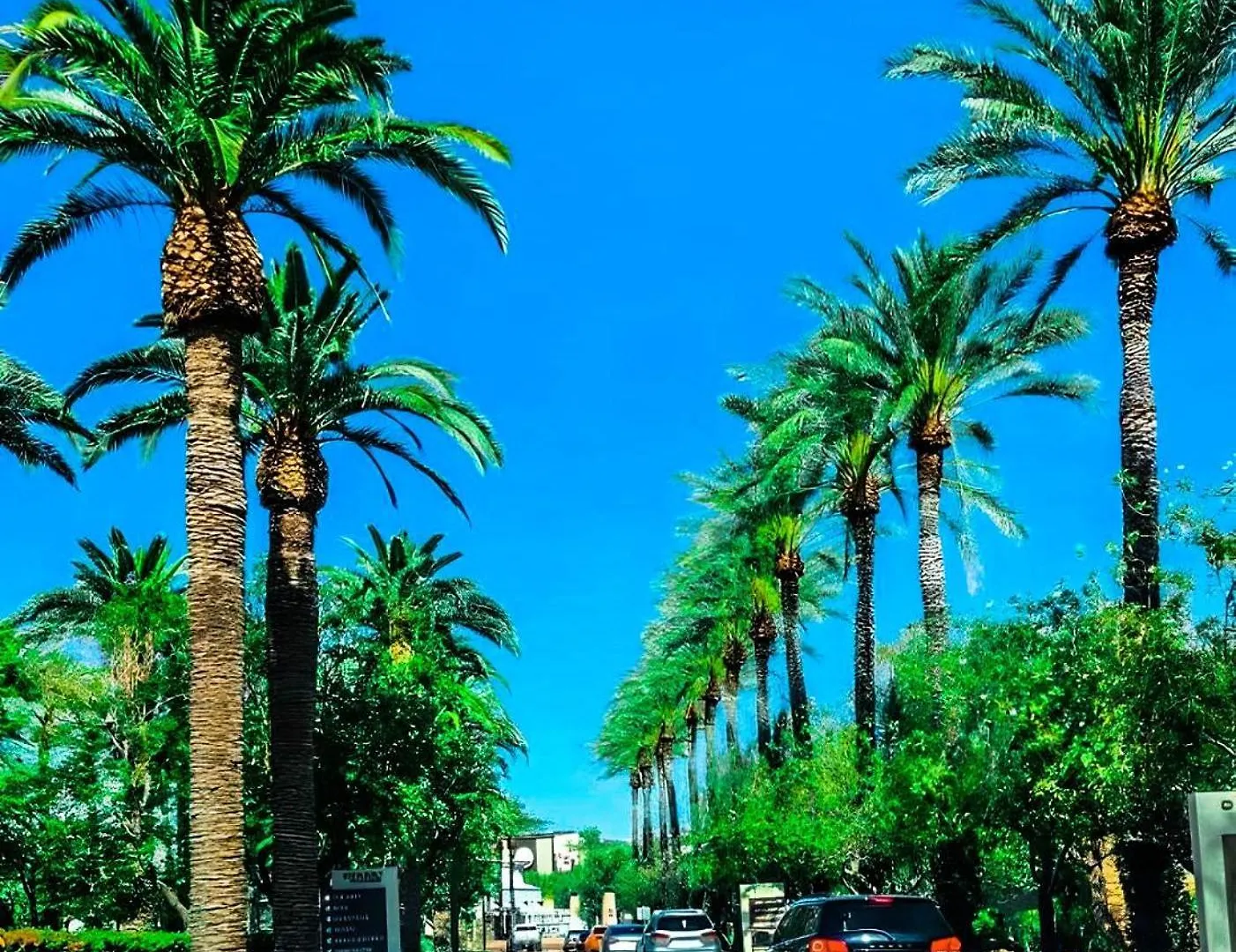 North Phoenix At Your Fingertips 0*,